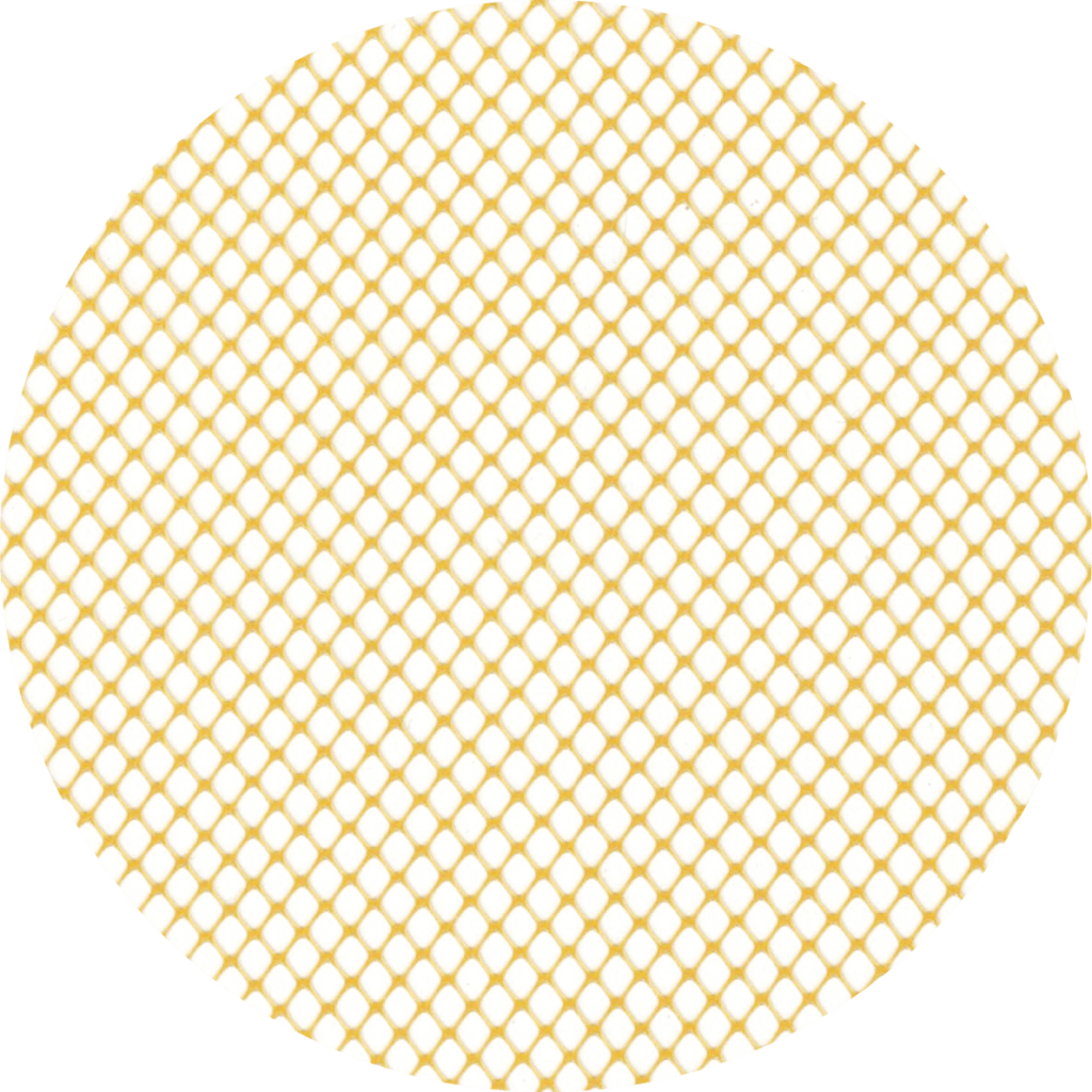 extruded-maiz